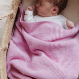 Blanket Ivy (Cotton candy)