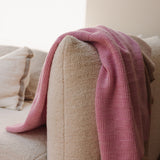 Blanket Ivy (Cotton candy)