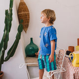 Denim Bermuda Shorts - Mint Stripes