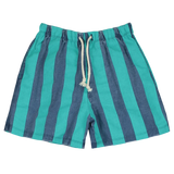 Denim Bermuda Shorts - Mint Stripes