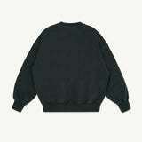Crew Sweatshirt Phantom Fleece
