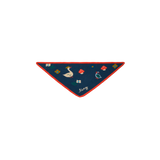 Winter Pond Wool Bandana