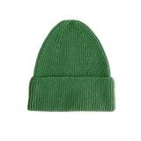 Beanie Fonzie Grass