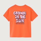 Fizvalley T-shirt