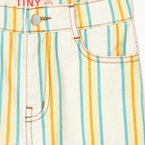 Multicolor Stripes Denim Jeans