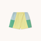 Color Block Woven Shorts